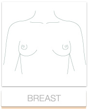 Breast